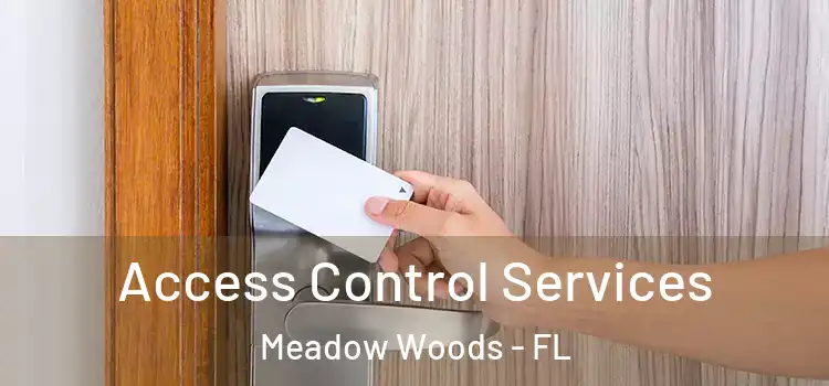  Access Control Services Meadow Woods - FL