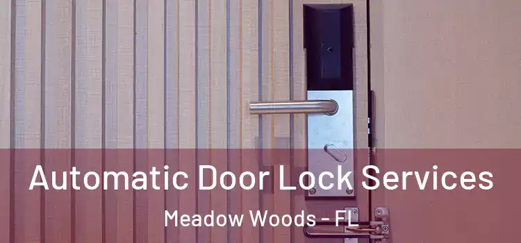  Automatic Door Lock Services Meadow Woods - FL