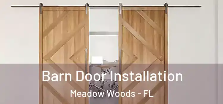  Barn Door Installation Meadow Woods - FL