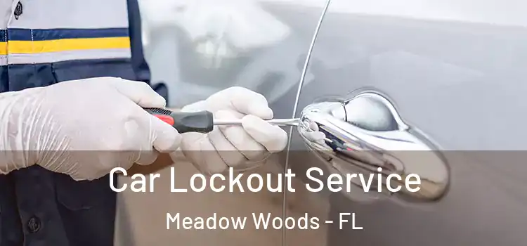  Car Lockout Service Meadow Woods - FL
