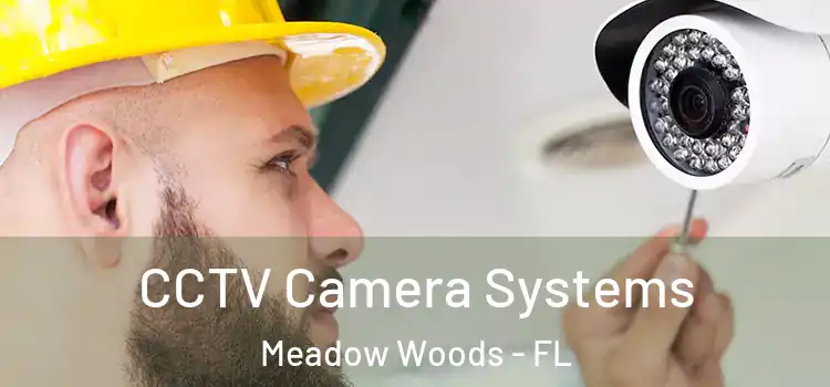  CCTV Camera Systems Meadow Woods - FL