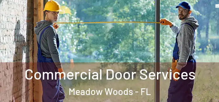  Commercial Door Services Meadow Woods - FL