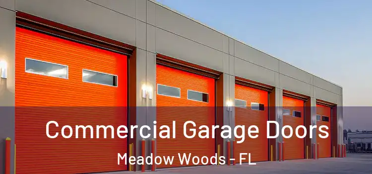  Commercial Garage Doors Meadow Woods - FL