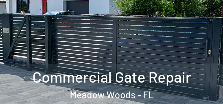 Commercial Gate Repair Meadow Woods - FL