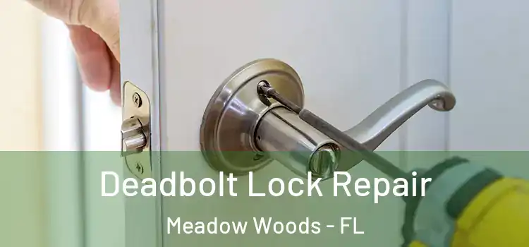  Deadbolt Lock Repair Meadow Woods - FL