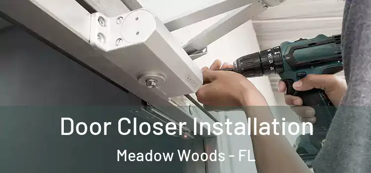 Door Closer Installation Meadow Woods - FL