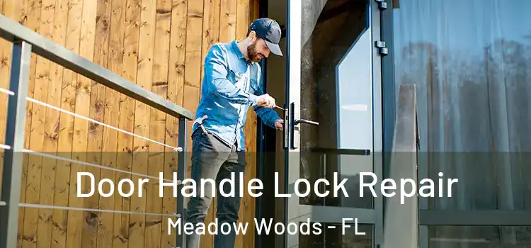 Door Handle Lock Repair Meadow Woods - FL