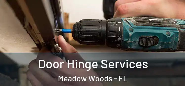  Door Hinge Services Meadow Woods - FL