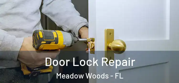  Door Lock Repair Meadow Woods - FL