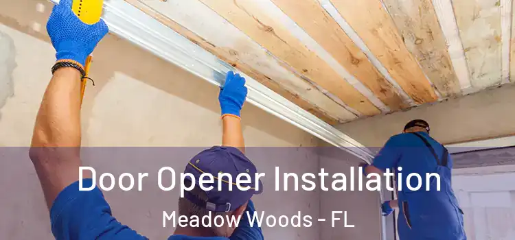  Door Opener Installation Meadow Woods - FL