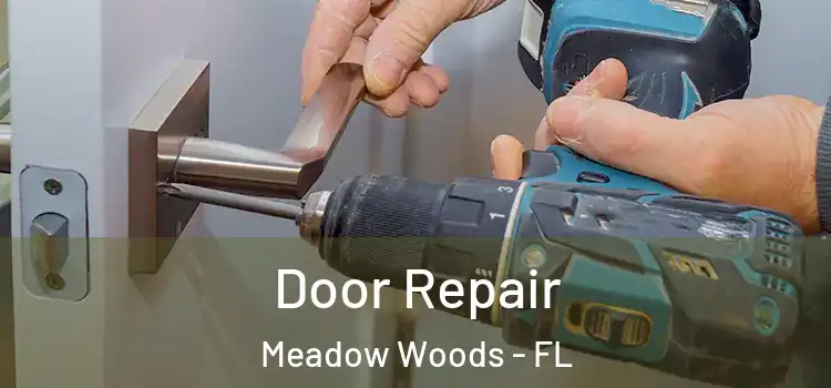  Door Repair Meadow Woods - FL