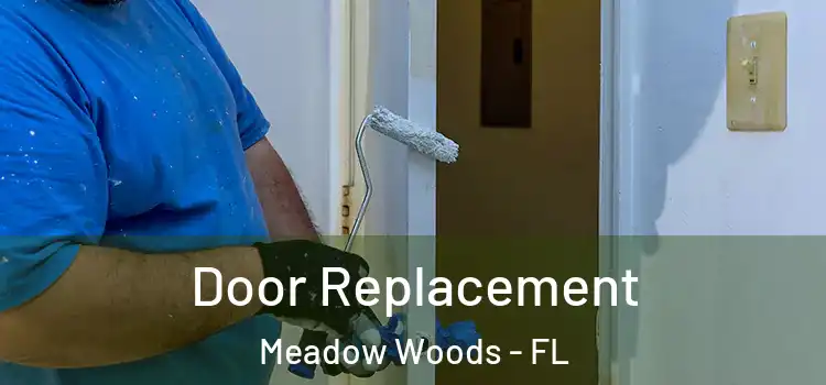  Door Replacement Meadow Woods - FL