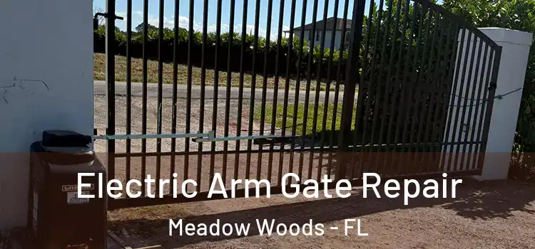 Electric Arm Gate Repair Meadow Woods - FL