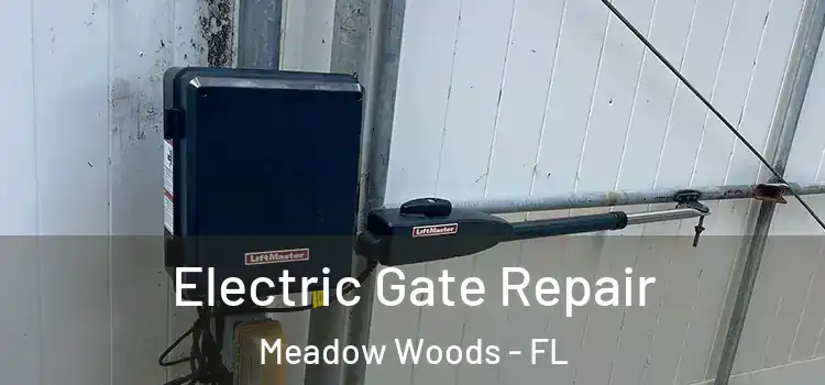  Electric Gate Repair Meadow Woods - FL