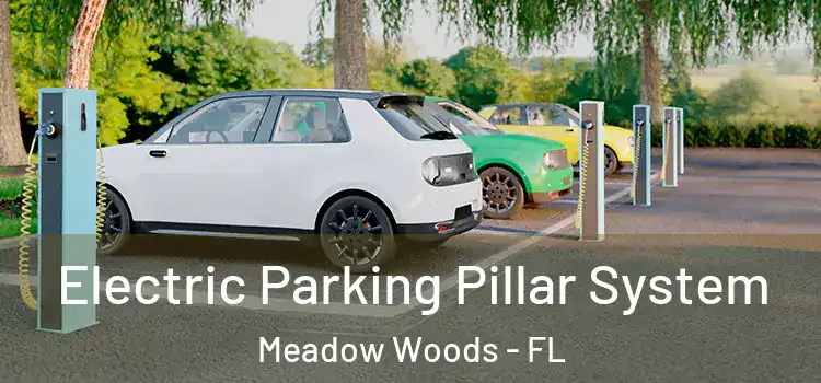  Electric Parking Pillar System Meadow Woods - FL