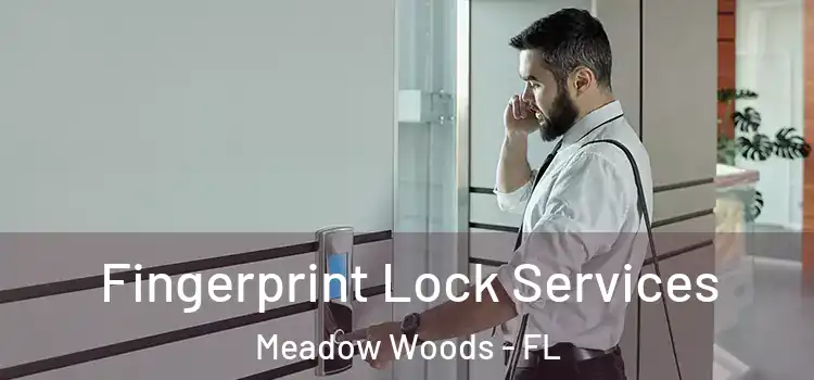 Fingerprint Lock Services Meadow Woods - FL