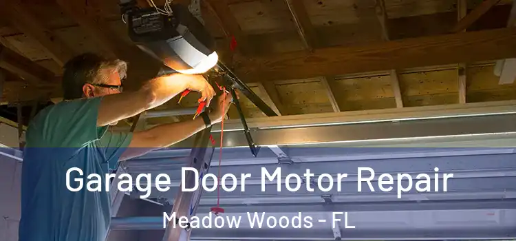  Garage Door Motor Repair Meadow Woods - FL