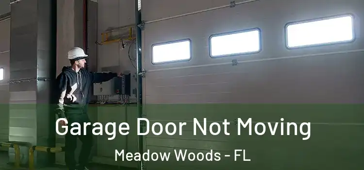  Garage Door Not Moving Meadow Woods - FL