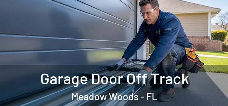  Garage Door Off Track Meadow Woods - FL