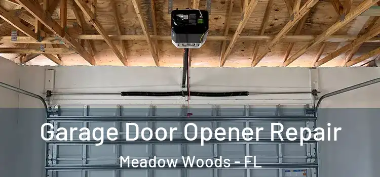  Garage Door Opener Repair Meadow Woods - FL