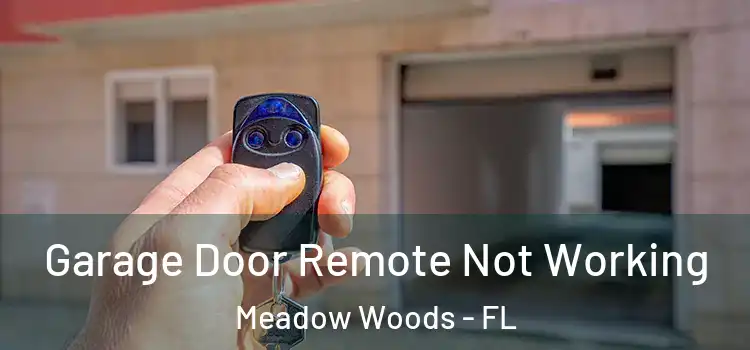  Garage Door Remote Not Working Meadow Woods - FL