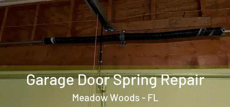  Garage Door Spring Repair Meadow Woods - FL
