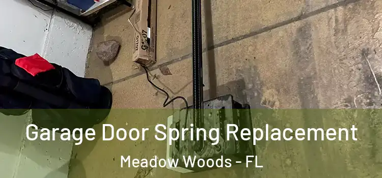  Garage Door Spring Replacement Meadow Woods - FL
