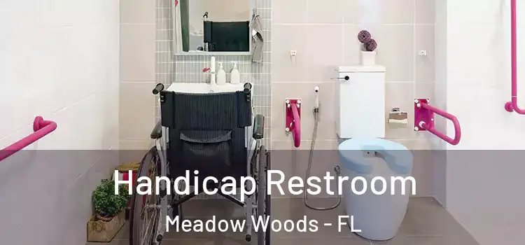  Handicap Restroom Meadow Woods - FL