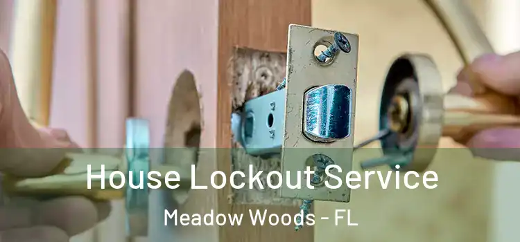 House Lockout Service Meadow Woods - FL