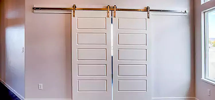 Glass Barn Door with Installation Hardware Kit Meadow Woods