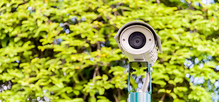 Advanced Surveillance Solutions for Every Need in Meadow Woods