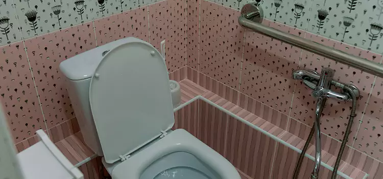 Meeting Diverse Needs With Accessible Restroom Solutions in Meadow Woods, FL