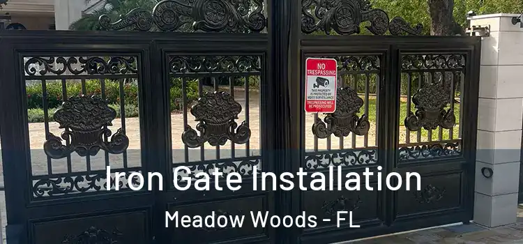 Iron Gate Installation Meadow Woods - FL