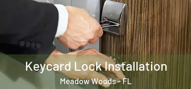  Keycard Lock Installation Meadow Woods - FL