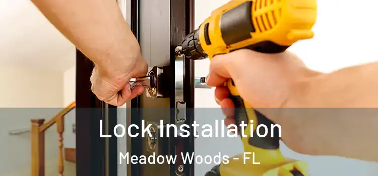  Lock Installation Meadow Woods - FL