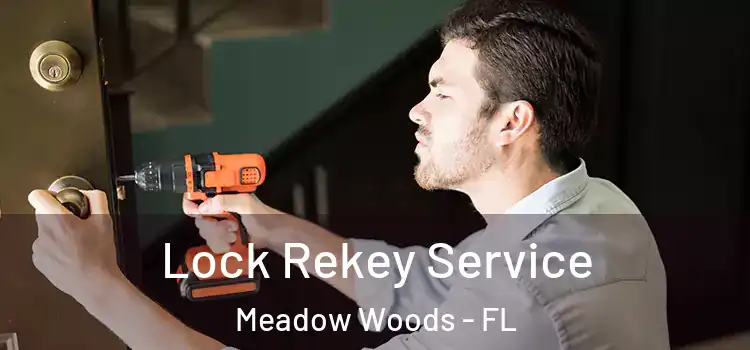  Lock Rekey Service Meadow Woods - FL