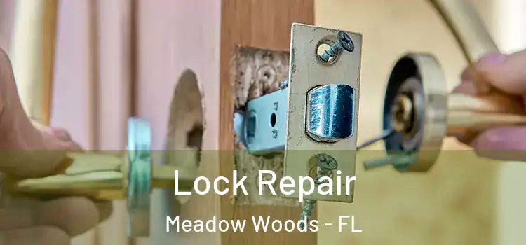 Lock Repair Meadow Woods - FL