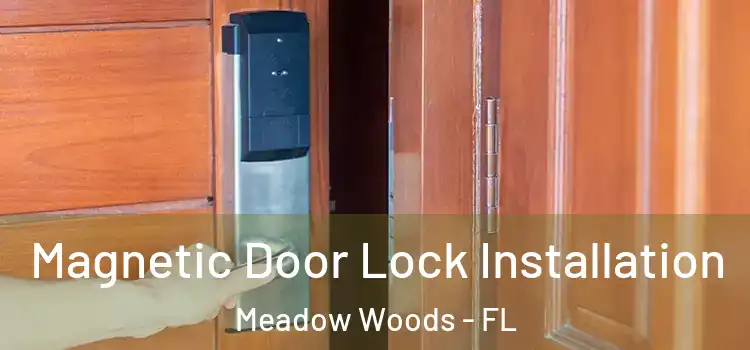  Magnetic Door Lock Installation Meadow Woods - FL
