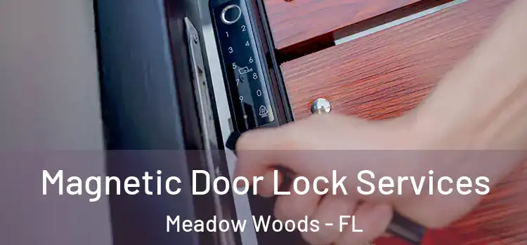  Magnetic Door Lock Services Meadow Woods - FL