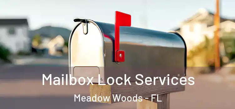  Mailbox Lock Services Meadow Woods - FL