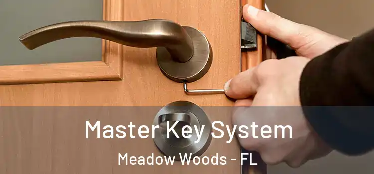 Master Key System Meadow Woods - FL