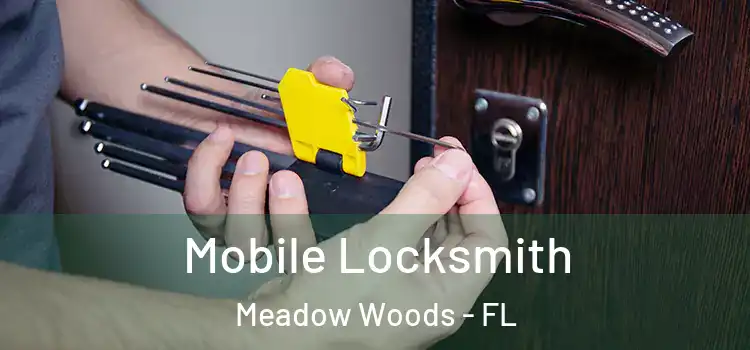  Mobile Locksmith Meadow Woods - FL