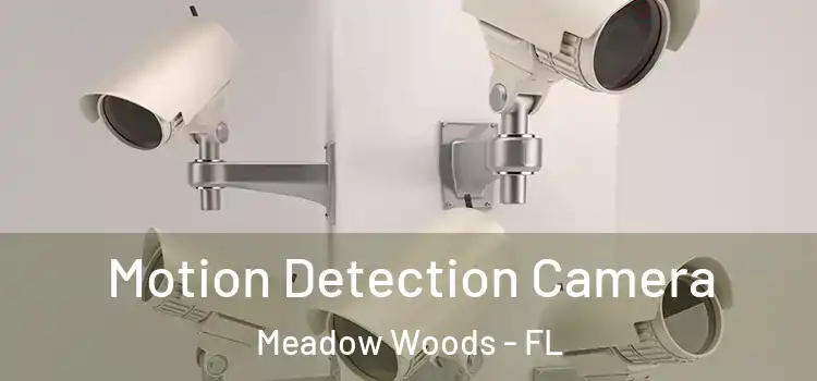  Motion Detection Camera Meadow Woods - FL