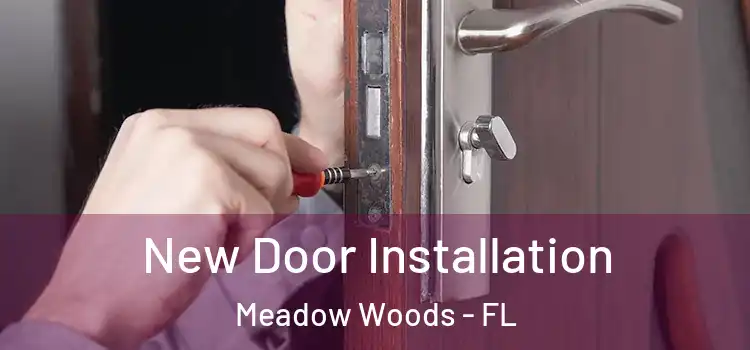 New Door Installation Meadow Woods - FL