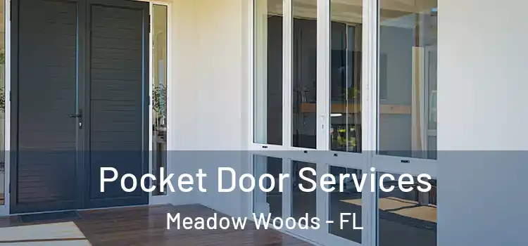 Pocket Door Services Meadow Woods - FL