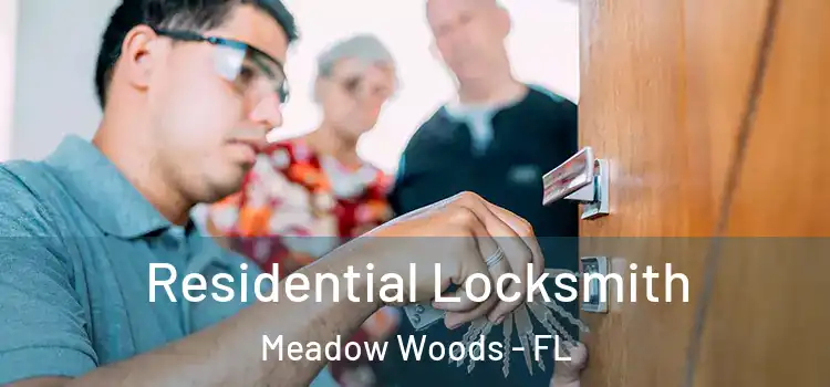  Residential Locksmith Meadow Woods - FL