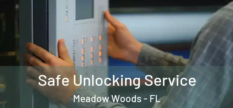 Safe Unlocking Service Meadow Woods - FL
