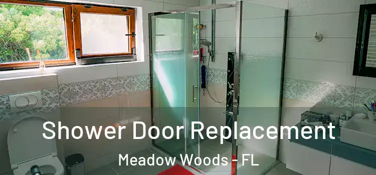  Shower Door Replacement Meadow Woods - FL