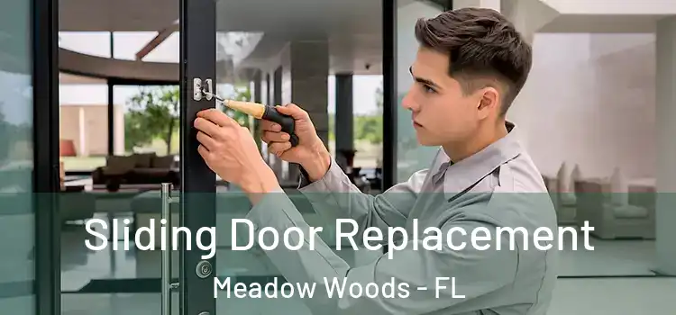  Sliding Door Replacement Meadow Woods - FL
