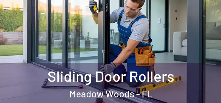  Sliding Door Rollers Meadow Woods - FL